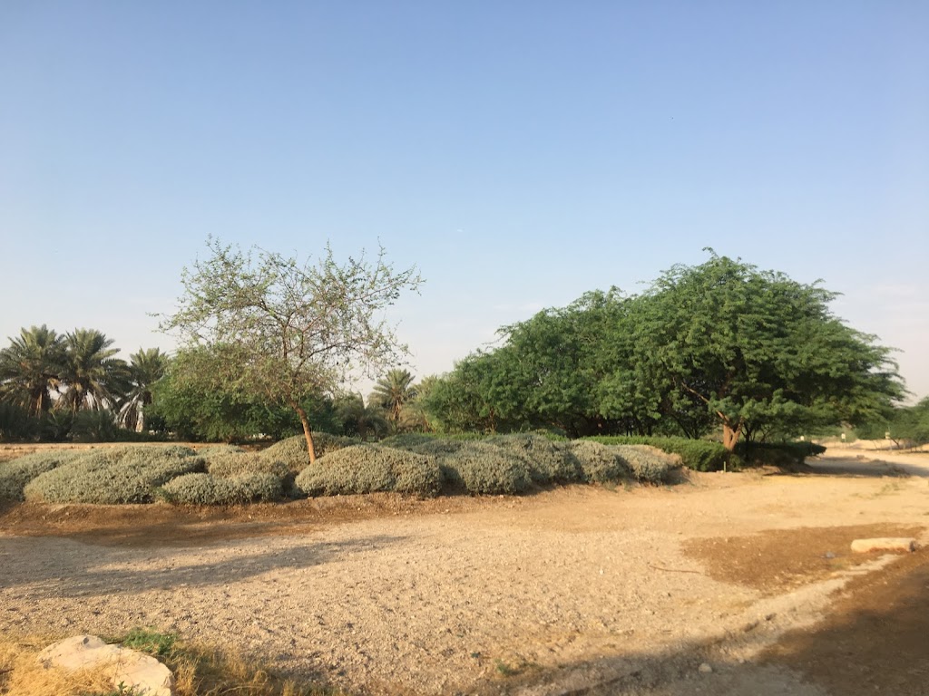 Wadi Hanifa