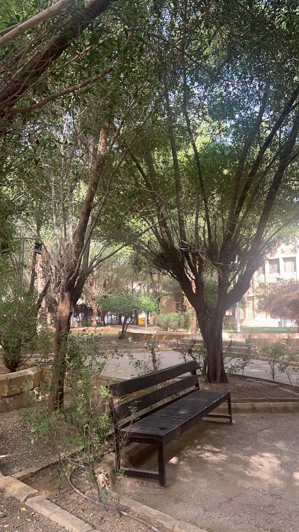 Al Taawon Park