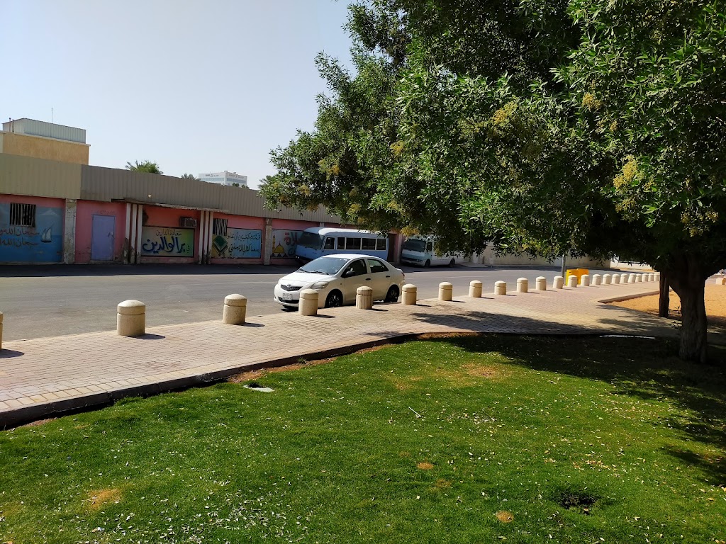 Small Children Park